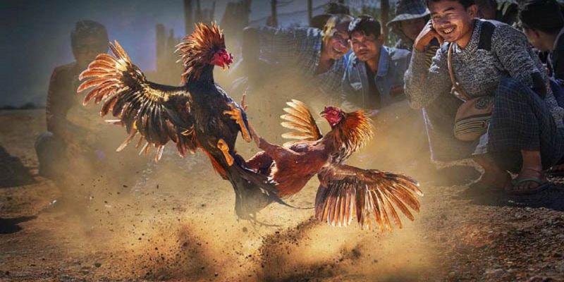 Banner www.inpos.com.vn